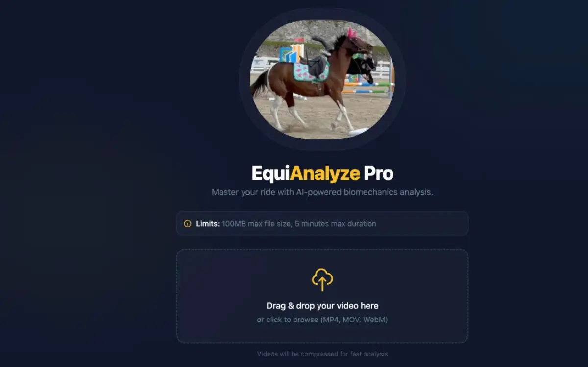 Screenshot of EquiAnalyze Pro